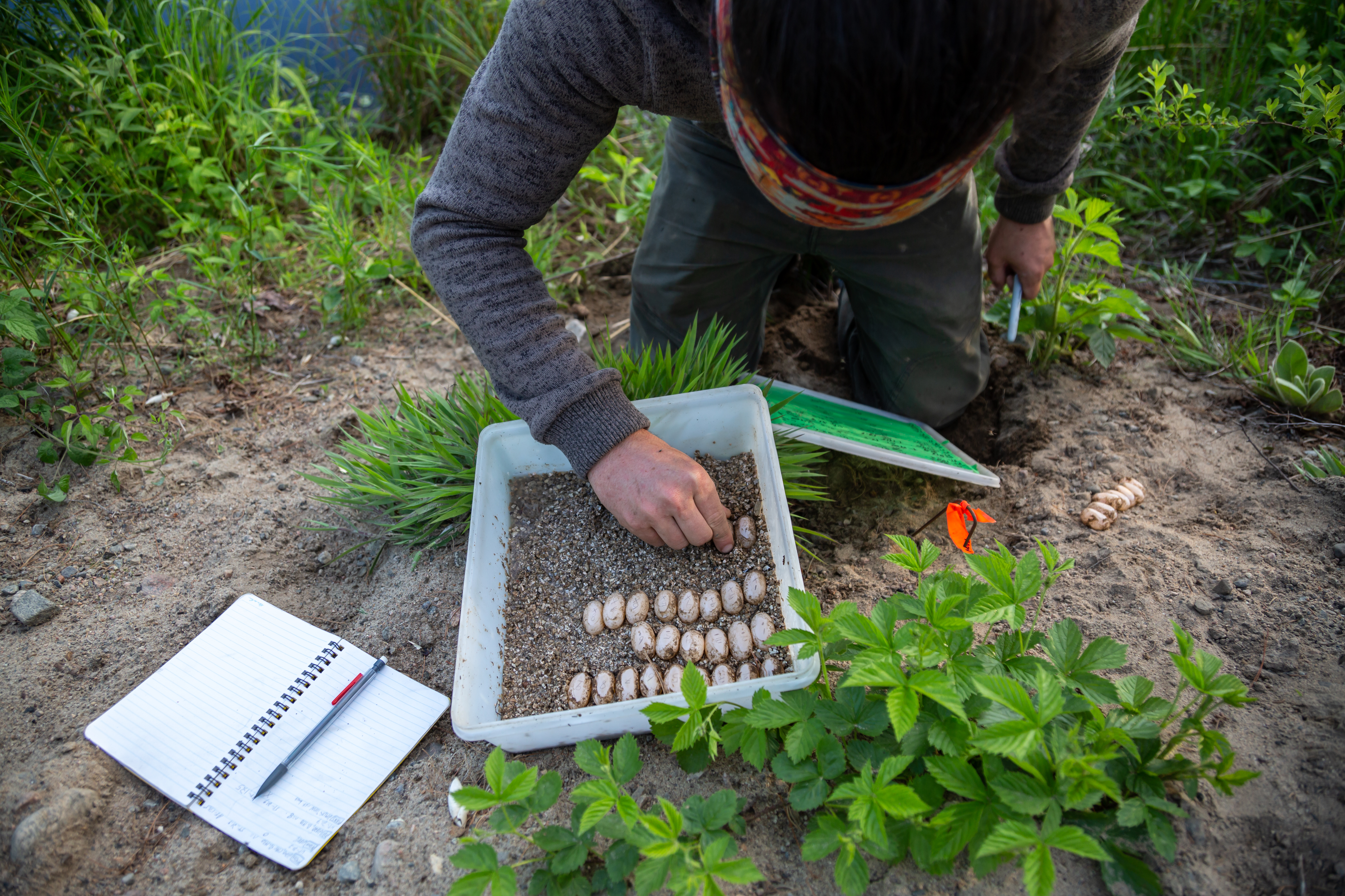 photo representing organization