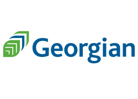 georgian_website